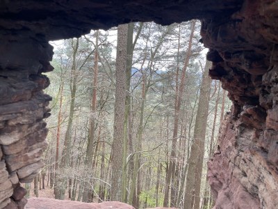 Holiday house Haus Armin - Environment photo 38