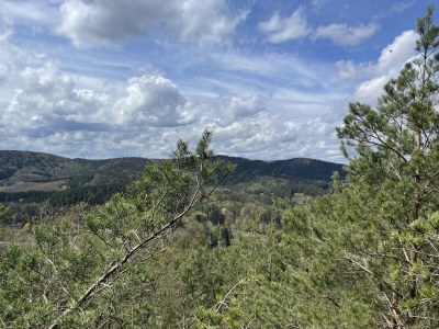 Holiday house Haus Armin - Environment photo 39