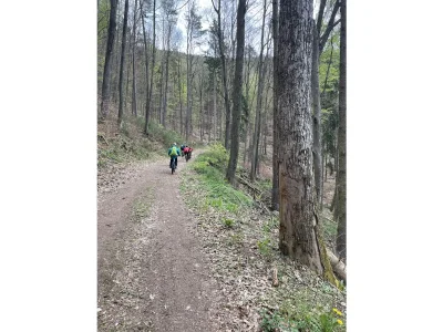 Holiday house Haus Armin - Environment photo 40