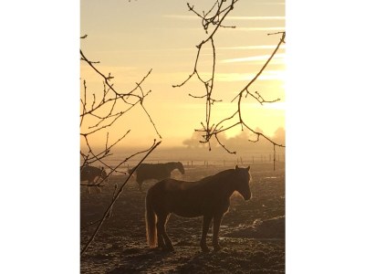 Holiday house Zen aan zee - Environment photo 19