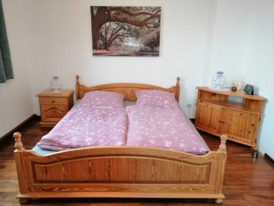 Apartment Ferienwohnung mit Kamin im Voigtland - Features photo 19