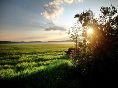 Apartment Ferienwohnung mit Kamin im Voigtland - Environment photo 20