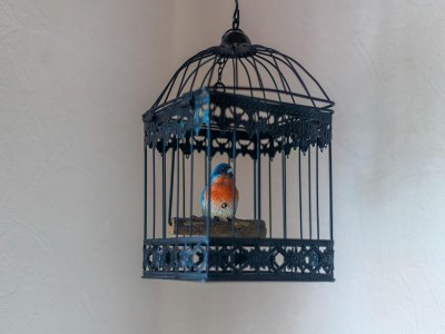 Holiday house Ferienhaus in Marquise nahe am Meer - Outdoor photo 34