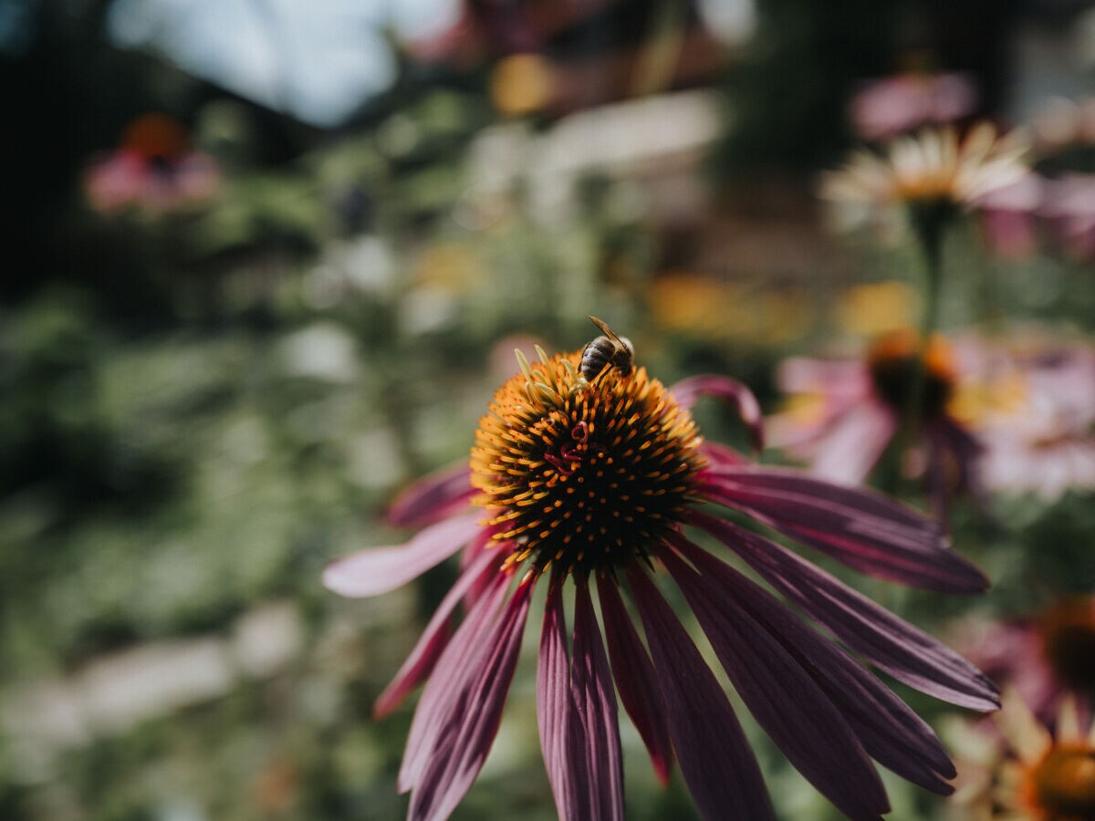 Holiday apartment For 2 people - Outdoor photo 5