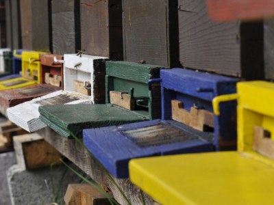 Holiday apartment For 2 people - Outdoor photo 14