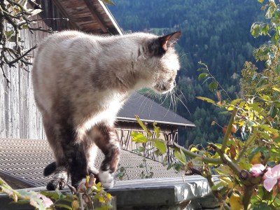 Holiday apartment For 2 people - Environment photo 24