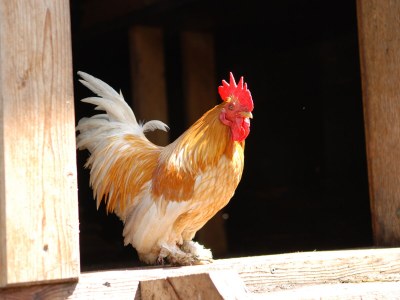 Holiday apartment For 2 people - Environment photo 27