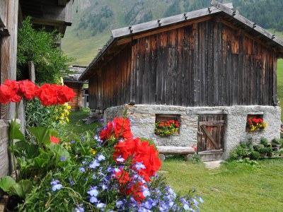 Holiday apartment For 2 people - Environment photo 29