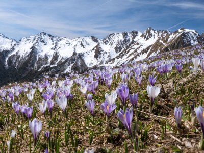 Holiday apartment For 2 people - Environment photo 39