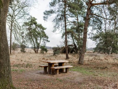 Holiday house Country house next to a nature reserve - Environment photo 24