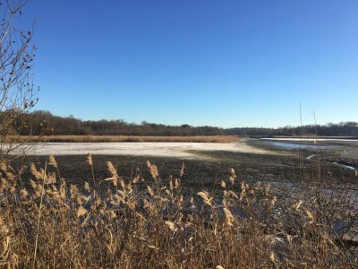 Holiday house Country house next to a nature reserve - Environment photo 26