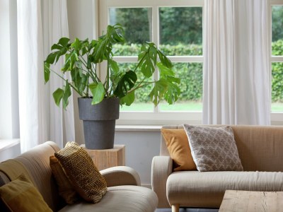 Holiday house Country house next to a nature reserve - Outdoor photo 40