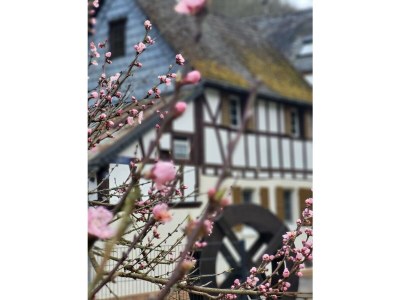 Holiday house Ehrbachklamm - Outdoor photo 7