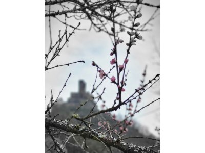 Holiday house Ehrbachklamm - Outdoor photo 8