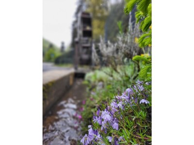 Holiday house Ehrbachklamm - Outdoor photo 9