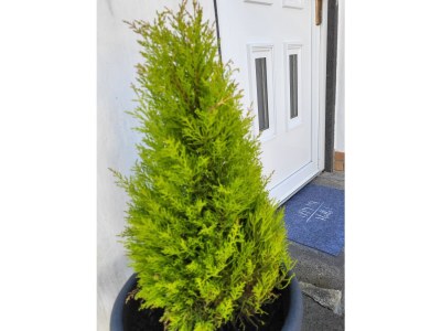 Holiday house Ehrbachklamm - Features photo 32