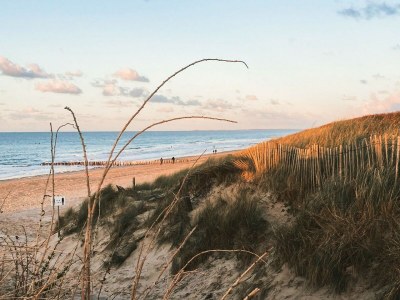 caravan Charming Pipowagen OK21 - Environment photo 19