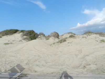 Villa Rosa - Environment photo 20