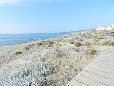 Villa Rosa - Environment photo 22