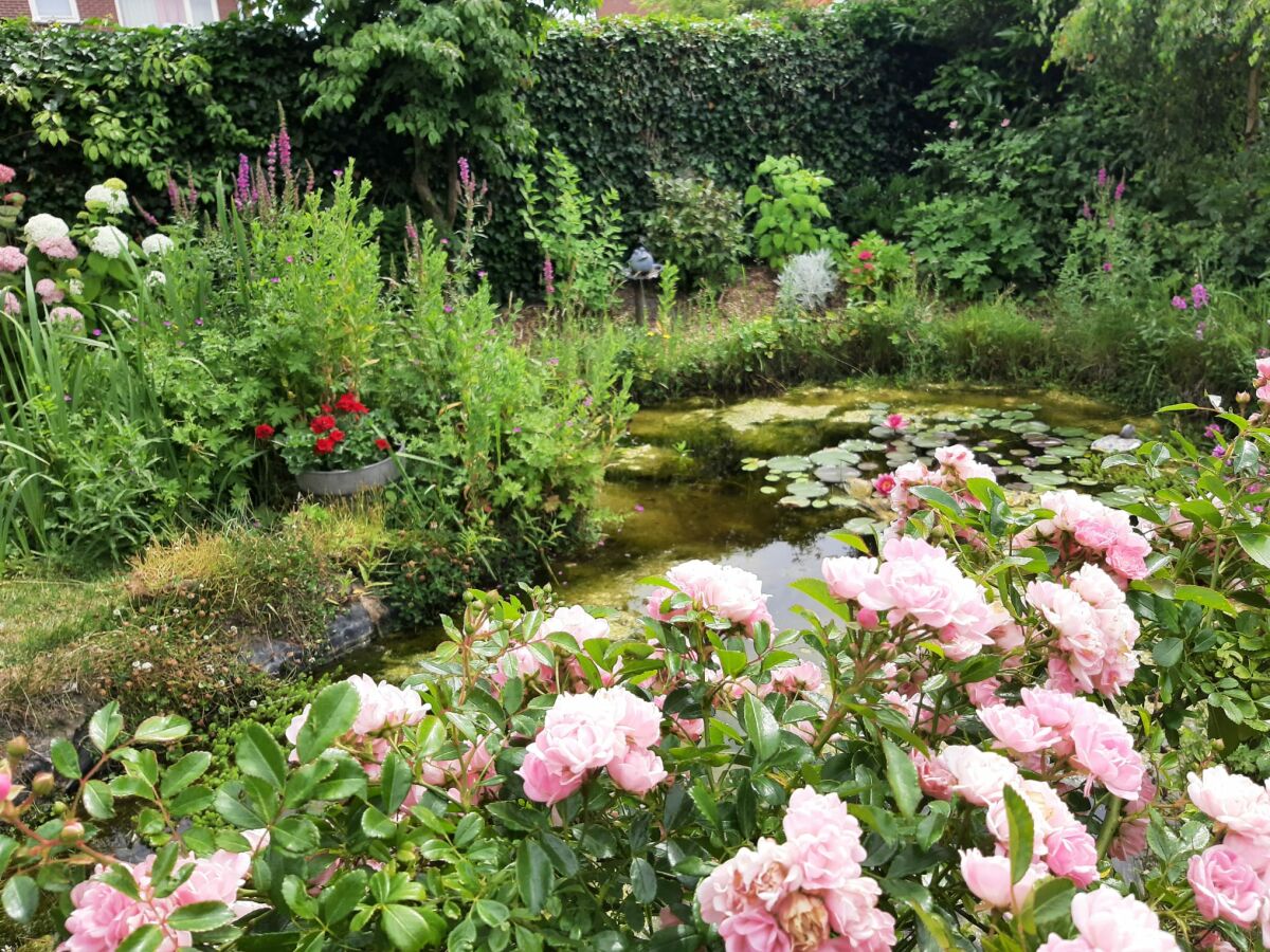 Holiday house Huijsmansverhuur Type C Comfort Plus Horrelshoogte 7 - Outdoor photo 5