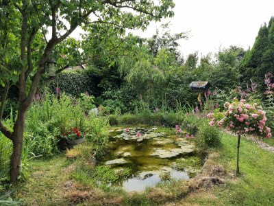 Holiday house Huijsmansverhuur Type C Comfort Plus Horrelshoogte 7 - Outdoor photo 4