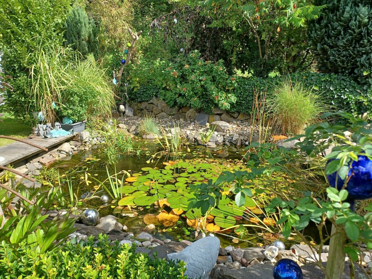 Apartment charmante Erdgeschosswohnung in Daun - Outdoor photo 2