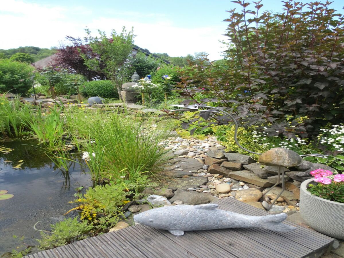 Apartment charmante Erdgeschosswohnung in Daun - Outdoor photo 3