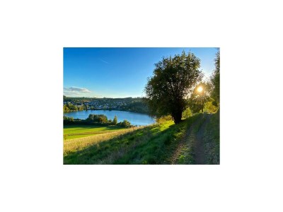 Apartment charmante Erdgeschosswohnung in Daun - Environment photo 29