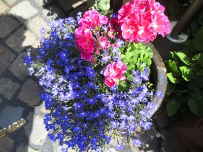 Apartment charmante Erdgeschosswohnung in Daun - Outdoor photo 30