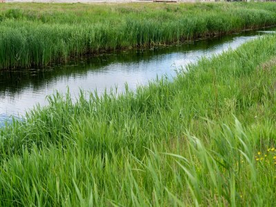 Holiday house Holiday Home in Zeeland near Gorishoek Beach - Environment photo 37