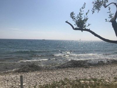 Villa Mia - Environment photo 31