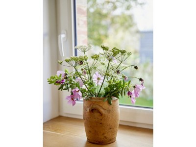 Holiday house La maison de Saint-Ké - Features photo 10