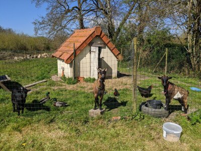 Holiday house Le Pressoir - Outdoor photo 16