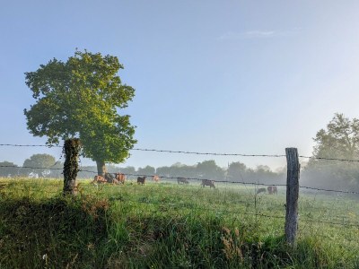 Holiday house Le Pressoir - Outdoor photo 18