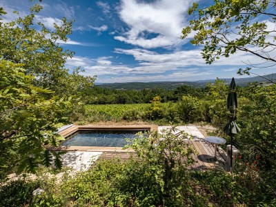 Holiday house Cottage with pool and view of the Luberon 414 SAI - Outdoor photo 6