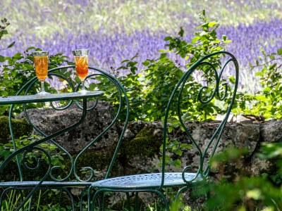 Holiday house Cottage with pool and view of the Luberon 414 SAI - Outdoor photo 7