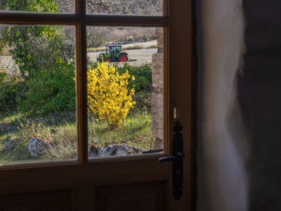 Holiday house Cottage with pool and view of the Luberon 414 SAI - Outdoor photo 12