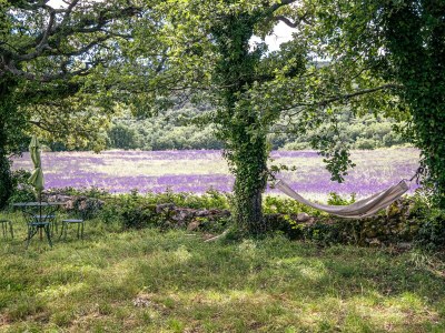 Holiday house Cottage with pool and view of the Luberon 414 SAI - Outdoor photo 16