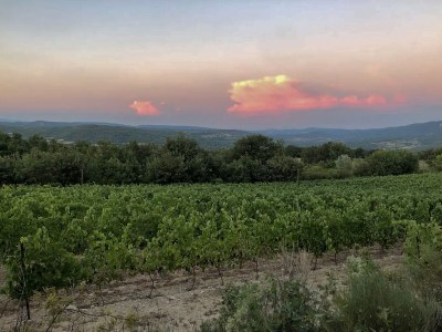 Holiday house Cottage with pool and view of the Luberon 414 SAI - Environment photo 29