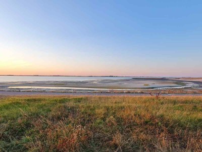 Holiday apartment Holiday apartment Sint-Annaland - ZE1221 - Environment photo 13