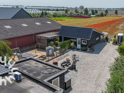 Holiday apartment Holiday apartment Sint-Annaland - ZE1221 - Environment photo 32