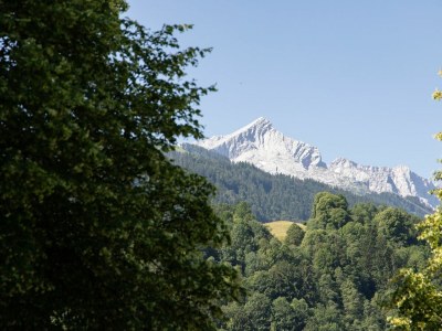 Holiday apartment Bergnest - Outdoor photo 4