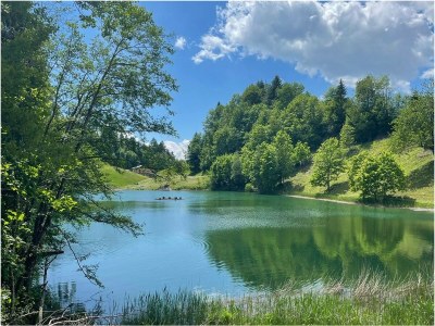 Holiday apartment Augia 2 - Environment photo 22