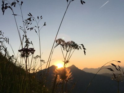 Holiday apartment Augia 2 - Environment photo 25