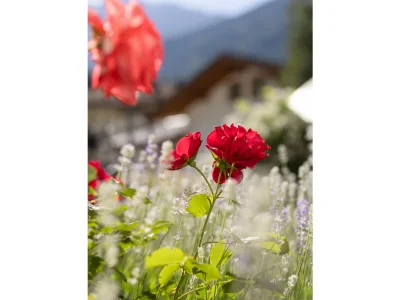 Apartment Donna Moltina - Outdoor photo 10