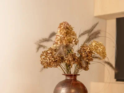 Apartment Donna Moltina - Features photo 17