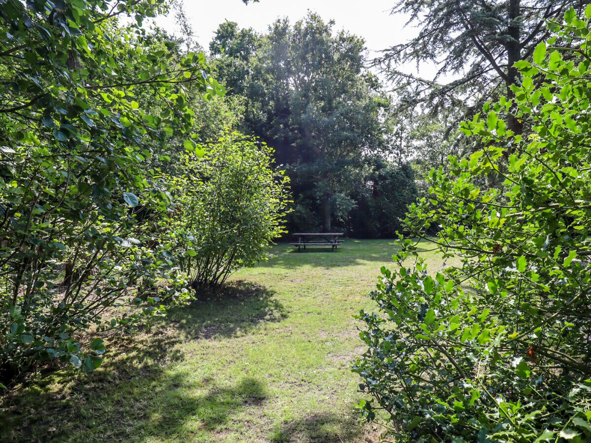 Bungalow Groeneplaats - CaliforniÃ«weg 525 - Outdoor photo 5