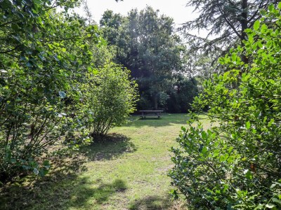 Bungalow Groeneplaats - CaliforniÃ«weg 525 - Outdoor photo 5