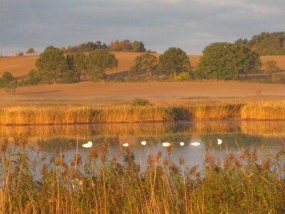 Holiday house Meeresfunkeln - Environment photo 22