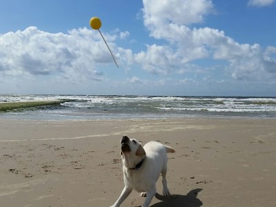 Holiday house Meeresfunkeln - Document photo 33